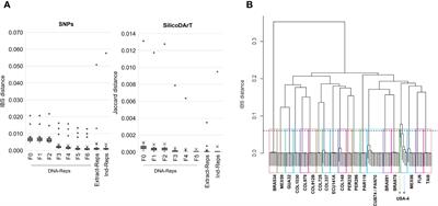 Identifying genetically redundant accessions in the world’s largest cassava collection